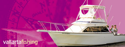 vallarta fishing