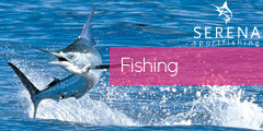 mazatlan fishing - sportfishing - bass fish