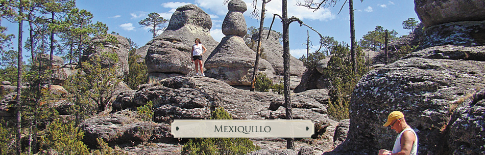 mexiquillo canyons tour