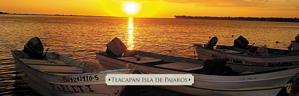 teacapan tropical tour